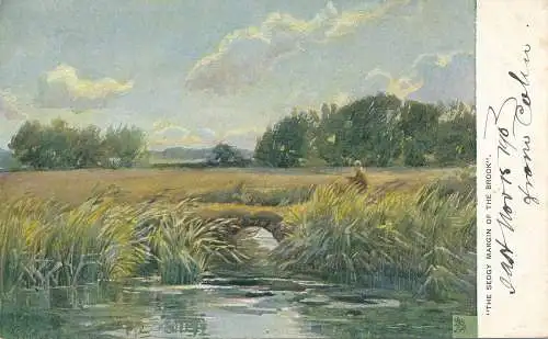 PC59881 The Sedgy Margin of the Brook. stecken. Art. Nr 1400