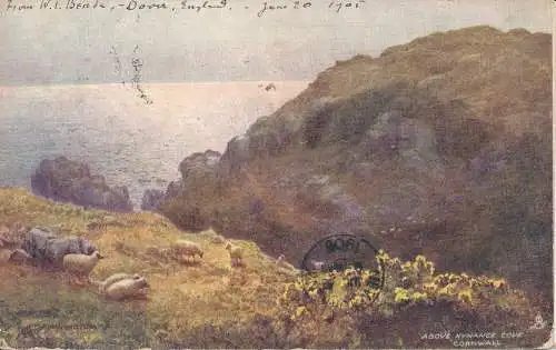 PC60351 über Kynance Cove. Cornwall. stecken. Oilette. Nr 7117. 1905