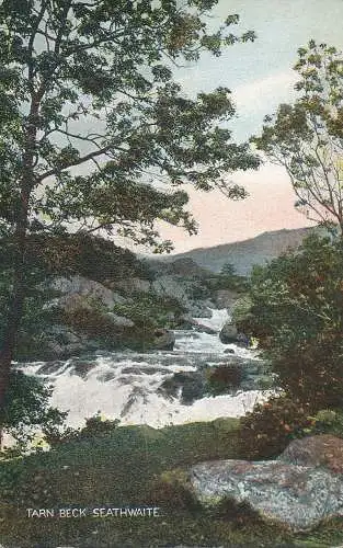 PC59481 Tarn Beck. Seathwaite. Die Kunst