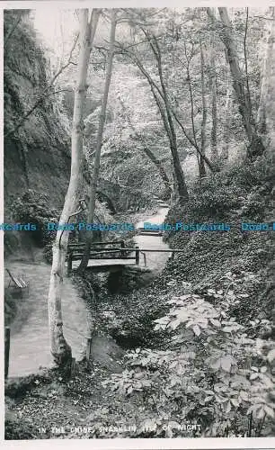 R024623 The Chine Shanklin. Isle of Wight. Nahe. RP. 1951