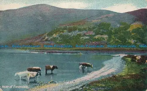 R024720 Leiter von Ennerdale. J. W. B. Gewerblich. 1916
