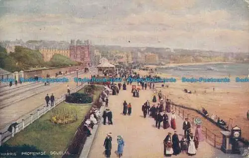 R026731 Harris Promenade. Douglasie. stecken. Oilette. Nr 1455. 1906