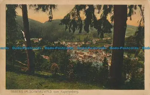 R027909 Triberg im Schwarzwlad vom Kapellenberg. Emil Hartmann. Nr 1