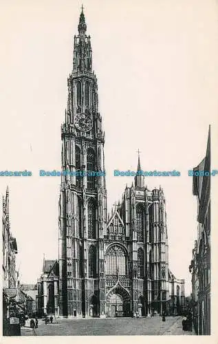 R011249 Anvers. La Cathedrale. Ern. Thill. Nels