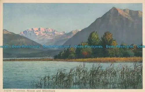 R011350 Thunersee. Niesen und Blumlisalp