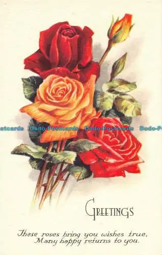 R097562 Grüße. Rosen