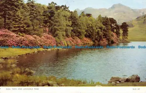 R098495 Blea Tarn and Langdale Pikes. Jarrold. RP. 1962