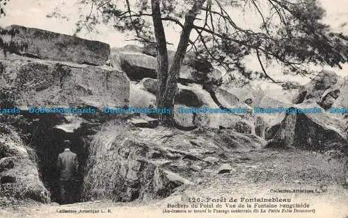 R098596 Foret de Fontainebleau. Rochers du Point de Vue de la Fontaine Sanguined