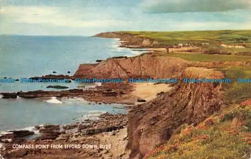 R100763 Kompasspunkt von Efford Down. Bude. Lachs. 1961
