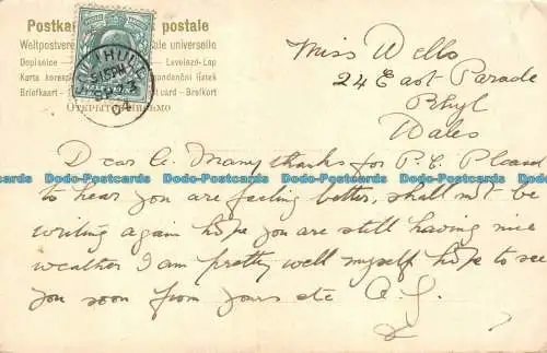 R101376 Rosen. Postkarte. 1904