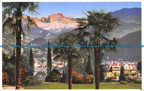 R101768 Palmen. Berg. Bozen Col Rosengarten. Joh. Filibert