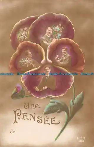 R121124 Une Pensee. Rex