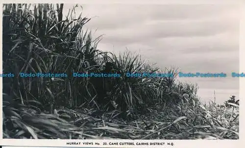 R126031 Rohrschneider. Cairns District. Murray Ansichten. RP. B. Hopkins
