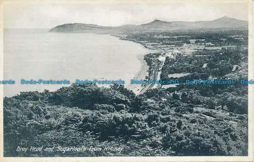 R126323 Bray Head and Sugarloafs from Killarney
