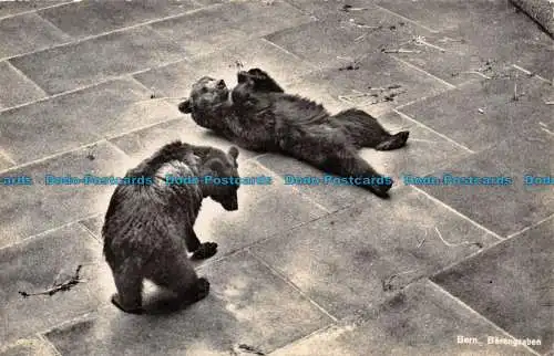 R126887 Bern. La Fosse aux Ours. Fotoglob. 1948