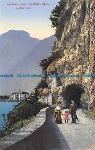 R126950 Axenstraße mit Waldstatterhof in Brunnen