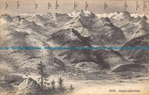 R128318 Waadtländer Alpen. Fototypie. Nr 6515. B. Hopkins