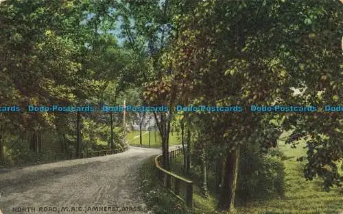 R633756 Mass. Nordstraße. M. A. C. Amherst. Scott