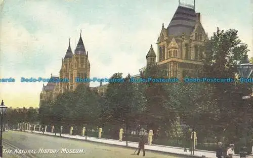 R634035 The Natural History Museum. Chas. Bäcker und Co Stores. 1910