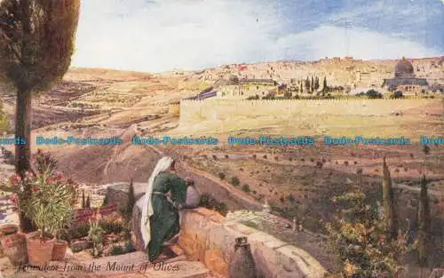 R636204 Jerusalem. Vom Ölberg. A. und C. schwarz. Serie. Nr. 28. Fr