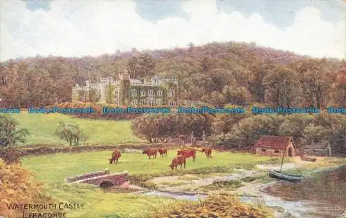 R636398 Ilfracombe. Watermouth Castle. J. Salmon. A. R. Quinton