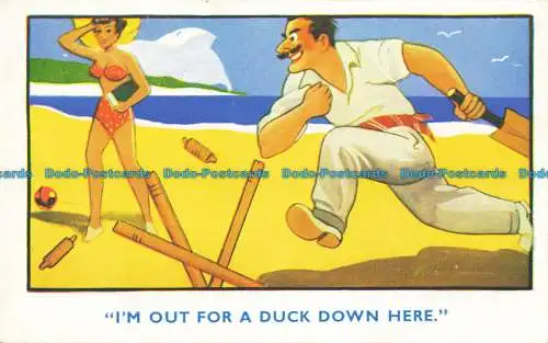 R638217 Ich bin hier unten auf eine Ente aus. William Foster