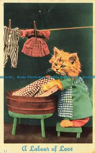 R636960 Eine Arbeit der Liebe. Mason Alpha. Colougraph Kitten Serie. 1958