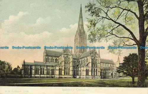 R639166 Kathedrale von Salisbury. F. G. O. Stuart