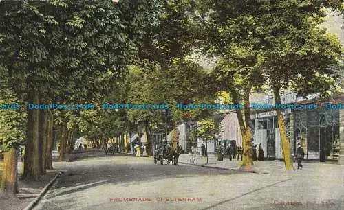 R640086 Cheltenham. Promenade. G.D. und D.L