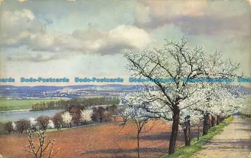 R638775 Feder. Blick ins Bergtal. Photochromie. Serie 147. Nr. 2743