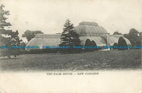 R638902 Kew Gardens. Das Palmenhaus. London Empire Serie 861. 1905