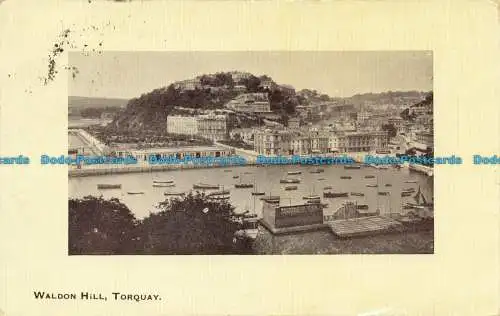 R639445 Torquay. Waldon Hill. 1910