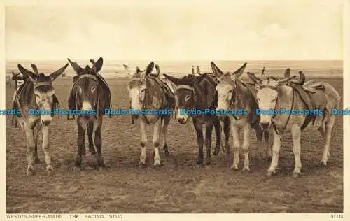 R639457 Weston Super Mare. Der Rennbolzen. Photochrom