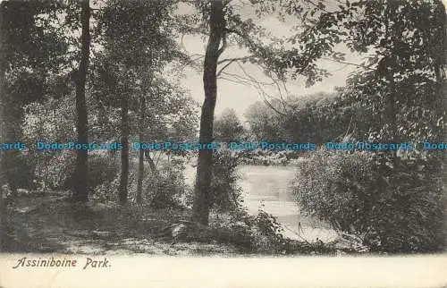 R638971 Assiniboine Park. Postkarte. 1906