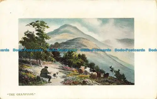 R639531 The Grampians. Wildt und Kray. Serie. Nr. 1497. 1910