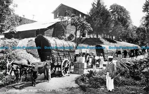 R156059 Carting Tea from Factory. Ceylon. Platte