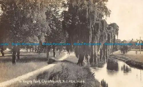 R156090 in Hagley Park. Christchurch. N. Z. Frank Duncan. RP