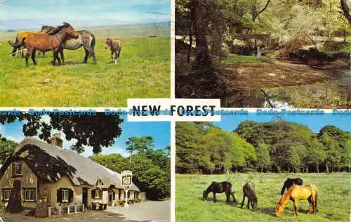 R156610 New Forest. Mehrfachansicht. 1969