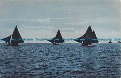 R156677 Alte Postkarte. Segelboote. Brunner