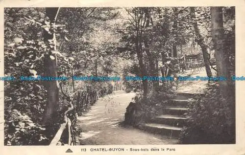 R157289 Chatel Guyon. Sous Bois dans la Parc