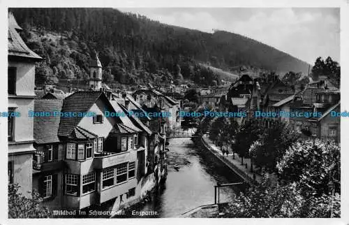 R156844 Wildbad im Schwarzwald Enzpartie. Karl Blumenthal. RP