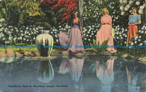 R661623 Gardenia Pool in Sarasota Jungle Gardens. Ansichten in Tichnor-Qualität. Tichnor