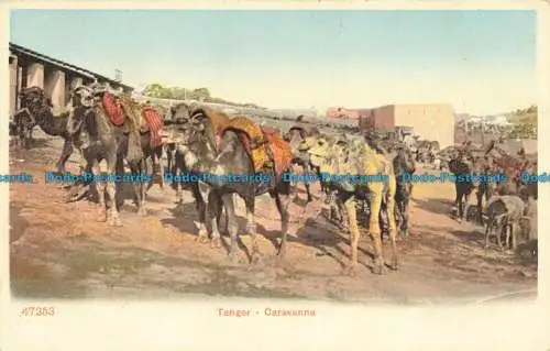 R661029 Tanger. Caravanne. Postkarte