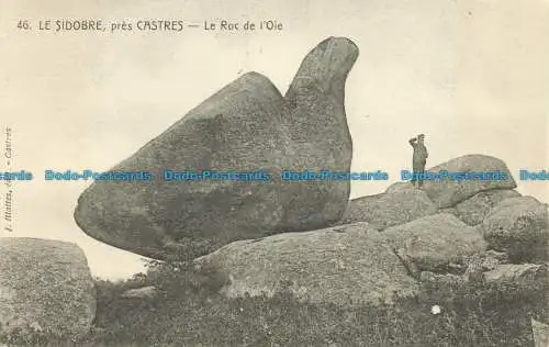 R661657 Le Sidobre Pres Castres. Le Roc de l Oie. I. Blattes