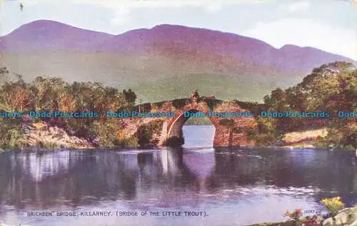 R661658 Killarney. Brickeen Bridge. Brücke der kleinen Forelle. Valentinstag. Art C