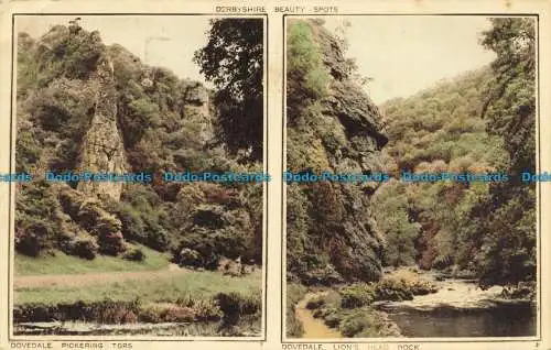 R661073 Derbyshire Beauty Spots. Dovedale. Pickering Tors. Löwenkopffelsen. Foto