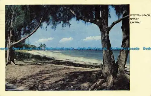 R661121 Bahamas. Nassau. Western Beach. Stadtapotheke. J. Salmon. 1955