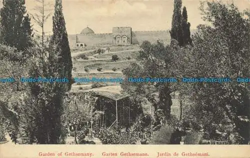 R661755 Garden of Gethsemany. Fr. Vester. Nr. 122