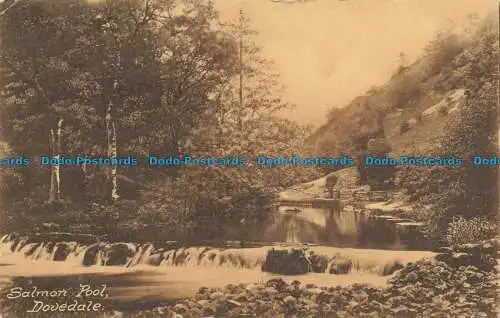 R661803 Dovedale. Lachspool. R. und R. Bull. 1922