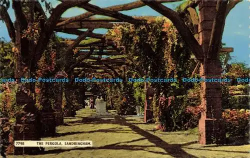 R661285 Sandringham. Die Pergola. H. Coates. Nene Serie